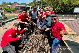 Festival tangkap Ikan Sapu-Sapu di Sungai Kemuning Banjarbaru semarak