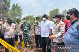 Menteri LH: 85 ribu hektare wilayah konsesi di Indonesia terbakar