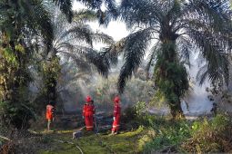 Perusahaan Migas PetroChina Jabung bantu padamkan Karhutla di Jambi
