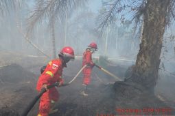 Satgas Karhutla Jambi berjibaku padamkan areal gambut Desa Muntialo