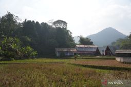 Pemkab Bandung mempercepat pompanisasi cegah 1.950 ha sawah kekeringan