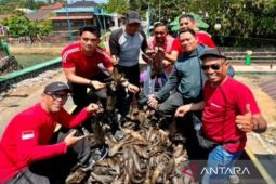 Festival tangkap ikan sapu-sapu di Sungai Kemuning Banjarbaru semarak