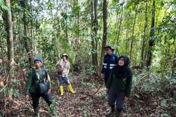 FOKUS apresiasi keseriusan Agincourt Resources lestarikan Biodiversitas Batang Toru