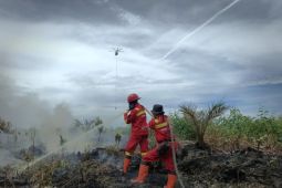 Riau kerahkan 4 helikopter "water bombing" padamkan karhutla di Pelalawan seluas 270 hektar