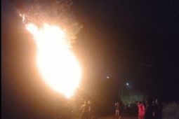 Pusdalops Sumut catat lima hektare  terdampak karhutla di Samosir