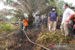 Wamen LH tekankan sinergi lintas pihak atasi karhutla