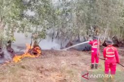 Menhut memastikan penguatan operasi pemadaman karhutla di Kalsel