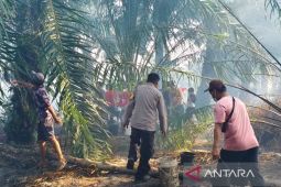 Polres Bangka Barat gencarkan penyuluhan cegah karhutla