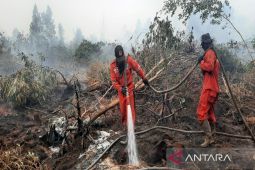 Menhut semangati totalitas Manggala Agni dan MPA redam karhutla Kalsel