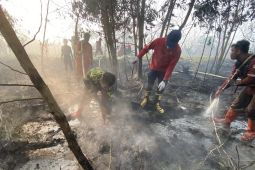 Wamenko Pangan perkuat sinergi OPD Kalsel tangani karhutla-kabut asap