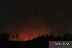Petugas padamkan kebakaran lahan gambut di kawasan Tol Balikpapan-Samarinda