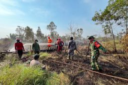 Kemenhut pastikan api di TN Way Kambas padam, seluruh gajah terpantau aman