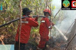 Balai Dalkarhut Sumatra kerahkan BKO karhutla ke Sumsel