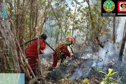 Manggala Agni Sumatra berjibaku padamkan karhutla di 17 desa