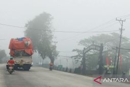 Pengamat: Penangkapan pelaku karhutla bentuk negara lindungi ekosistem