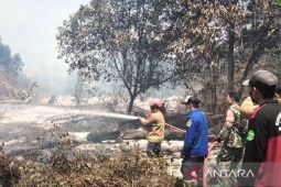 Tim gabungan atasi karhutla seluas 13,8 hektare hutan konservasi Kaltim