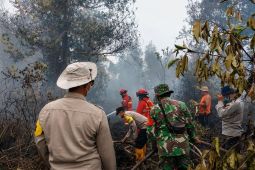Tim gabungan padamkan karhutla 10 hektare di Singkawang