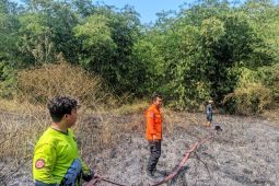 BPBD Tasikmalaya mewaspadai bahaya karhutla saat kemarau