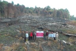 Kemenhut bekukan perizinan PT MPK akibat kebakaran berulang di Kalbar