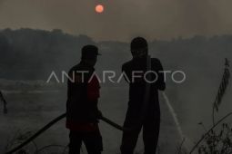 Pemadaman kebakaran lahan di Batang Hari