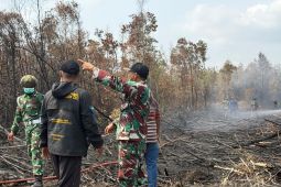 Bupati Belitung apresiasi TNI bantu padamkan karhutla