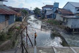 Lakukan survei, DLHP Ambon identifikasi titik penumpukan sampah di sembilan sungai