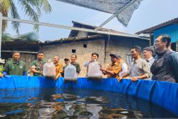 Lele, penggerak ekonomi Desa Durian