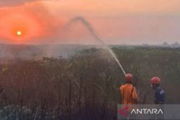 HST antisipasi melonjaknya kasus ISPA akibat karhutla