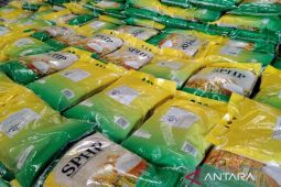 Bulog Medan tingkatkan penyaluran beras SPHP jaga stabilitas harga