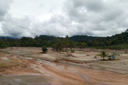 Banjir bandang hancurkan 50 hektare sawah di Anggoli, petani minta irigasi dipulihkan