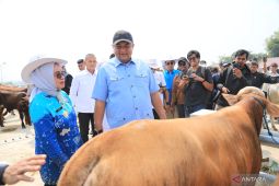 Pemkab Bogor jadikan Pasar Hewan Jonggol sebagai pusat perdagangan ternak