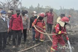Menhut tambah sarpras sumur hidran antisipasi karhutla berulang