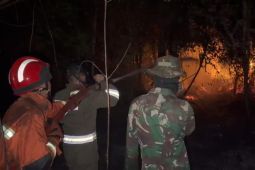 Tim gabungan padamkan karhutla di Karimunting