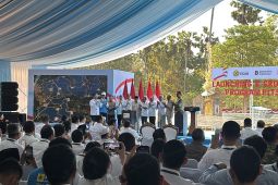 Presiden Prabowo luncurkan program PLTS 100 GWp di Bali