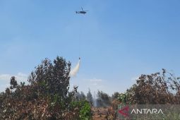 Malaysia apresiasi tindakan cepat RI tanggulangi karhutla