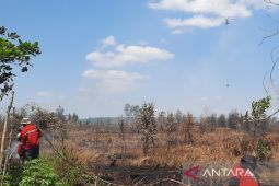 Satgas Darat dan Udara optimal tanggulangi karhutla di Kalsel