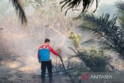 BPBD Bangka Barat tingkatkan pengawasan lokasi rawan karhutla