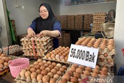 Tingginya permintaan dorong kenaikan harga telur di Gorontalo