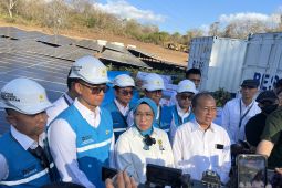 Kementerian ESDM nyatakan PLTS 1 GWp akan eliminasi diesel dari Bali