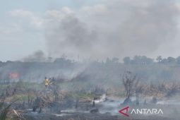 Upaya pemadaman karhutla di Tanah Bumbu terus ditingkatkan