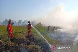 Manggala Agni perkuat pembasahan Karhutla di lahat Gambut