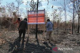Kemenhut sanksi 6 perusahaan sebabkan karhutla berulang di Kalimantan