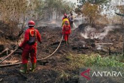 Tim Karhutla respon cepat kebakaran lahan di Sepunggur Tanah Bumbu