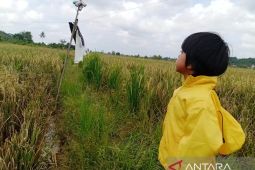 Pemkab Kukar perkuat sinergi wujudkan daerah pusat pangan