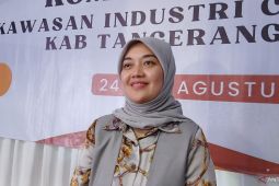 Legislator Chusnunia Chalim dorong izin kawasan industri maksimal tiga bulan