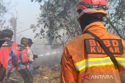 Tim gabungan di Kutai Kartanegara berjibaku padamkan kebakaran gambur 311 hektare