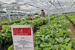 Mentan sebut bantuan bibit perkebunan di Lampung capai 30.000 ha
