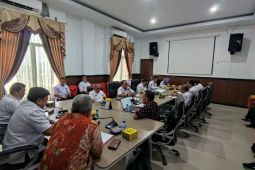 Pemkab Merangin soroti risiko izin otomatis OSS
