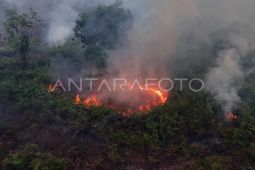 BPBA: Aceh tidak masuk dalam provinsi berisiko tinggi karhutla