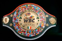 WBC siapkan sabuk khusus bagi Katie Taylor pada laga perpisahan lawan Flora Pili
